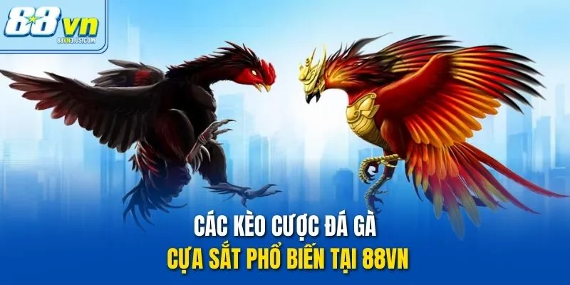 Các kèo cược đá gà cựa sắt phổ biến tại 88vn