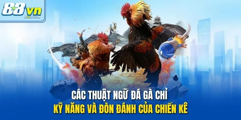 Các thuật ngữ đá gà chỉ kỹ năng và đòn đánh của chiến kê