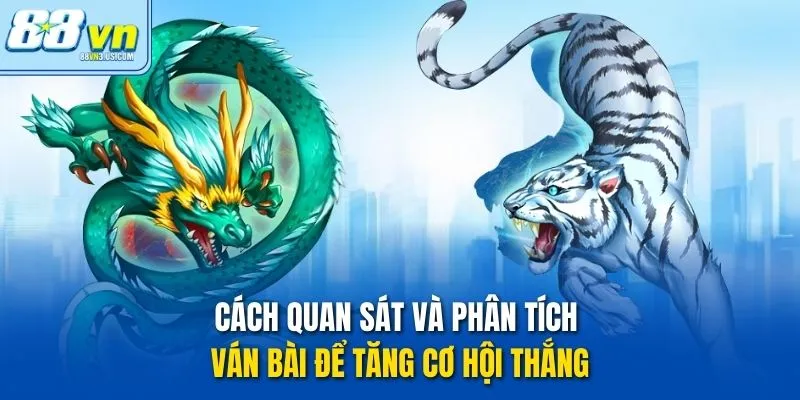 Cách quan sát và phân tích ván bài để tăng cơ hội thắng