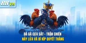 Đá gà cựa sắt