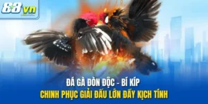 Đá gà đòn độc