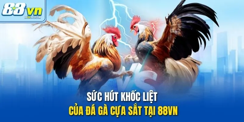 Sức hút khốc liệt của đá gà cựa sắt tại 88vn