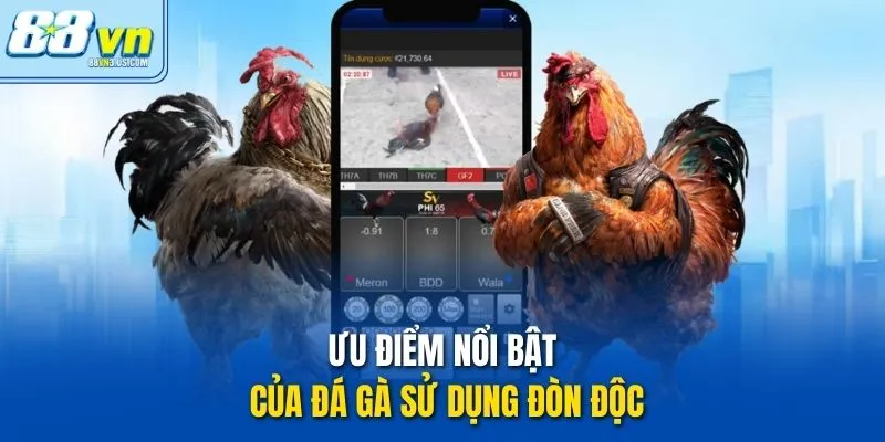 Ưu điểm nổi bật của đá gà sử dụng đòn độc